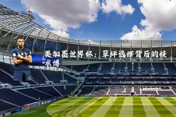 美加墨世界杯：草坪选择背后的技术博弈
