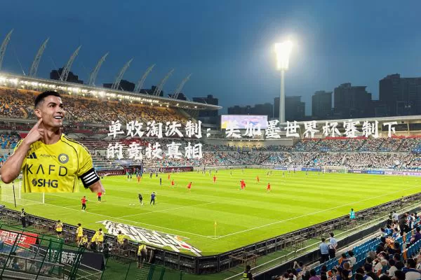 单败淘汰制：美加墨世界杯赛制下的竞技真相